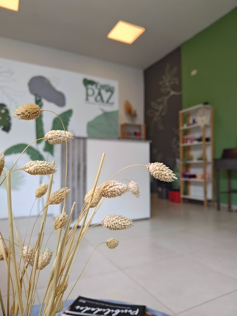 Estilo Paz-Espacio de Belleza