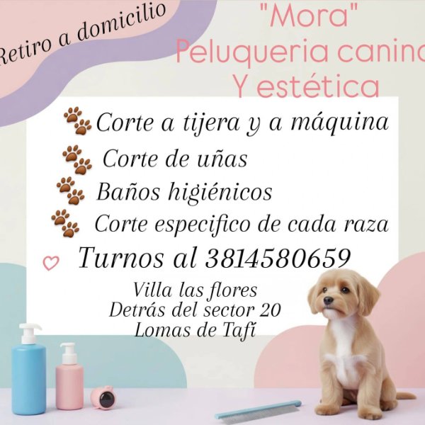 Logo de Mora Peluqueria canina Y estética